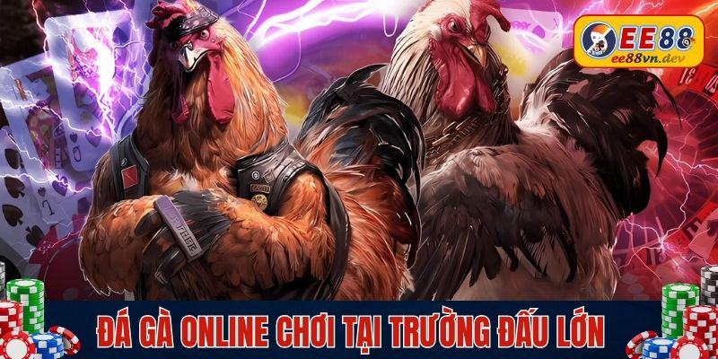 Đá gà online chơi tại trường đấu lớn
