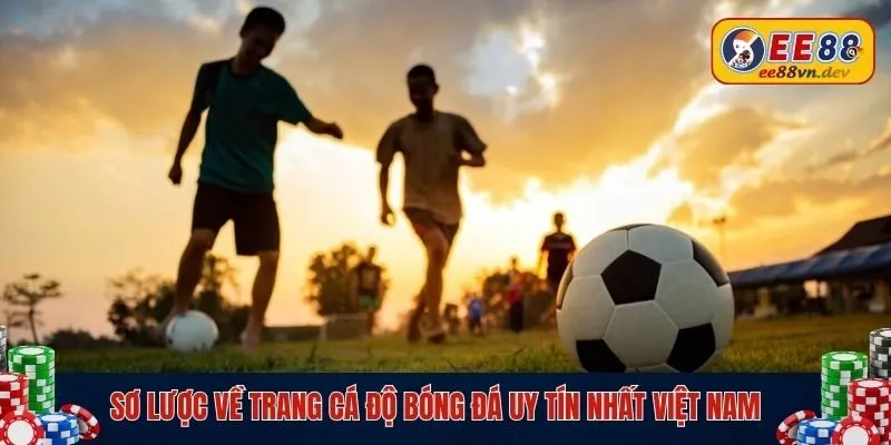 Sơ lược về trang cá độ bóng đá uy tín nhất Việt Nam