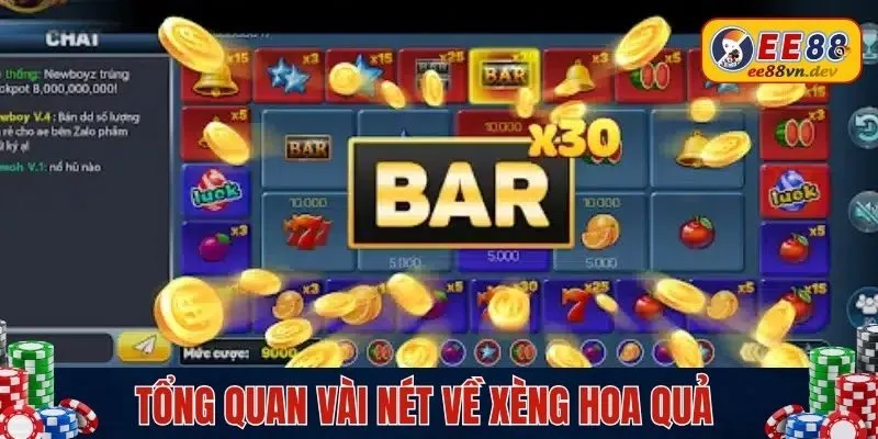 Khái quát sơ lược về xèng hoa quả
